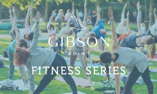 gibson point fitness image